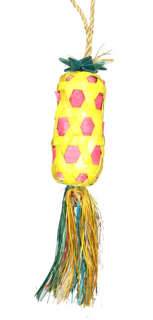 Mini Foraging Cylinder Bird Toy 