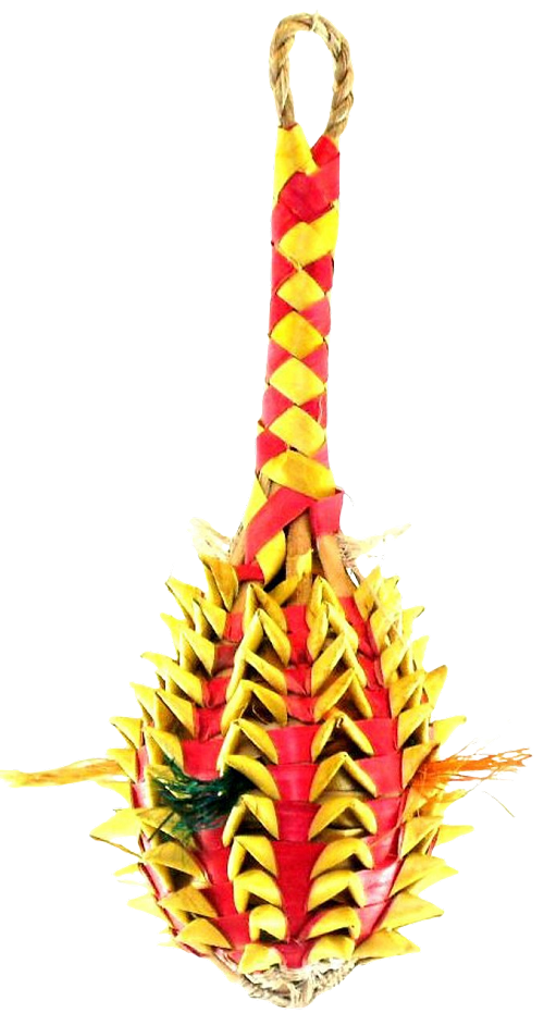 Pineapple Foraging Bird Toy 