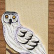 Snowy Owl Quilled Bookmark 